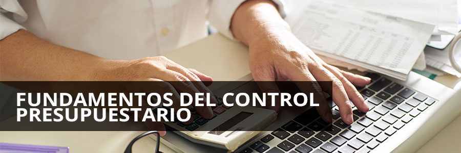 Fundamentos del Control Presupuestario