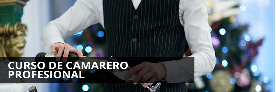 Curso de Camarero Profesional